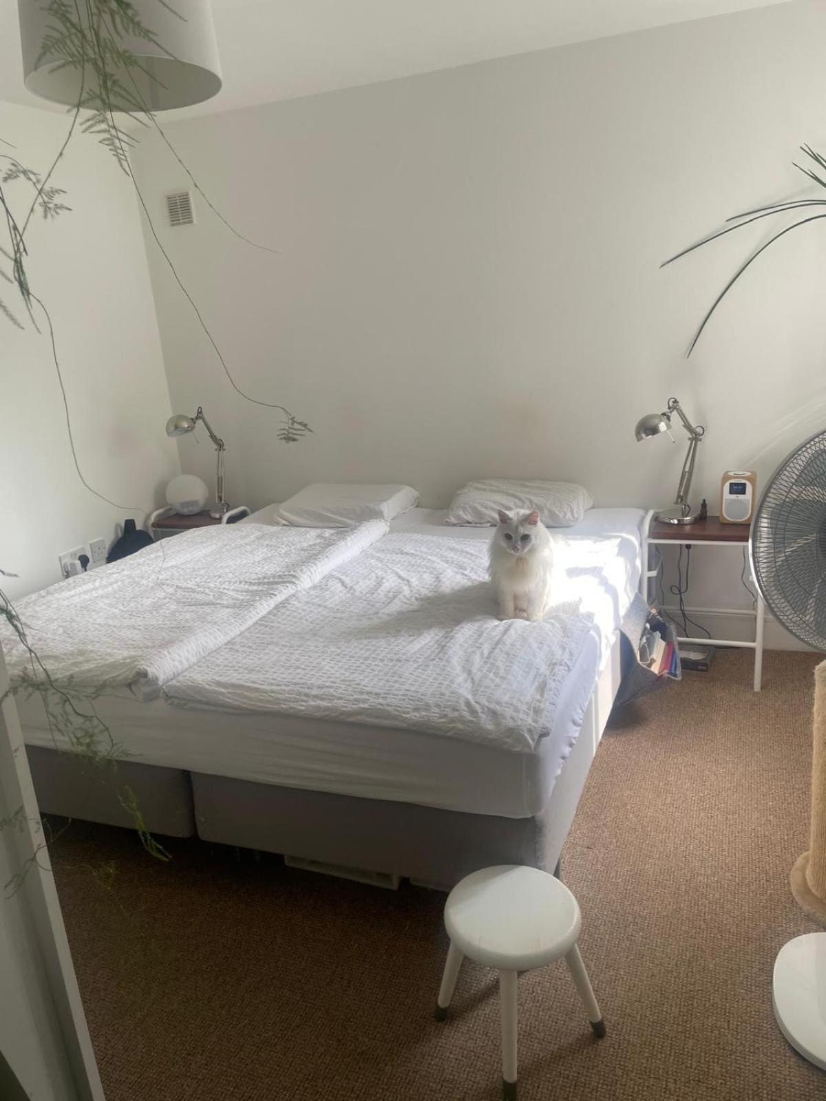 One Bedroom In A Gated Community Appartement